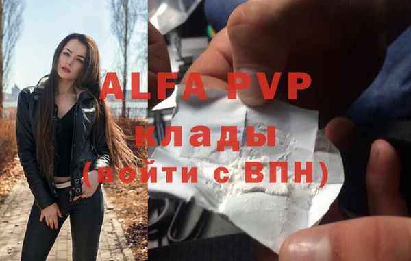 гашик Липки