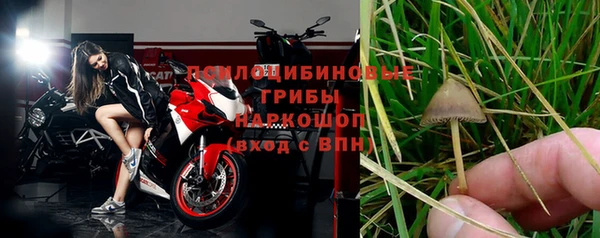 гашик Липки