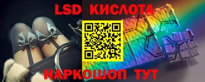 шишки Камышлов