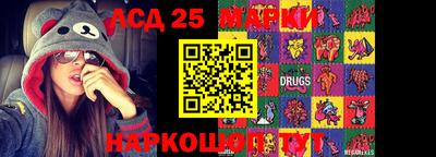 шишки Камышлов