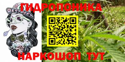 шишки Камышлов