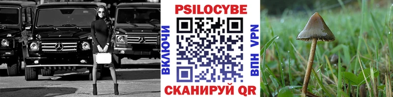 Галлюциногенные грибы Psilocybe  Шали 