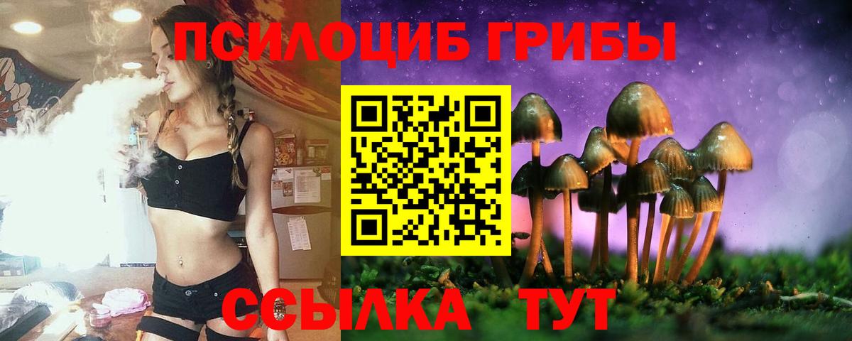 Псилоцибиновые грибы Cubensis  Вход с VPN  Шали 