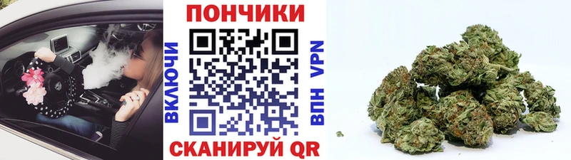 Марихуана сатива Шали